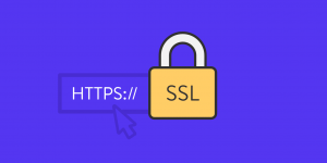 Whitelabel ITSolutions Offers Impressive Security Services At Mind Blowing Low Cost